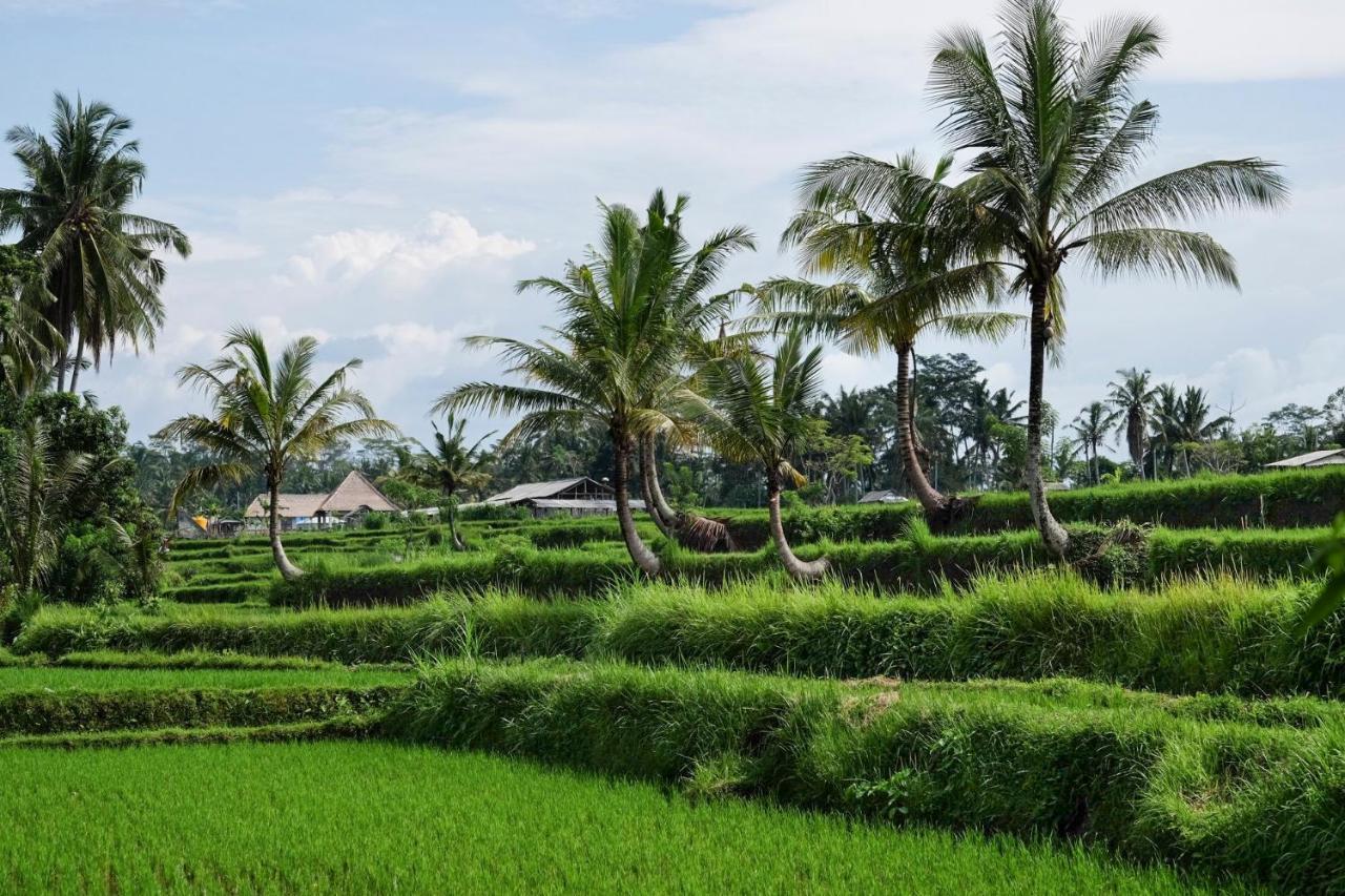 Sandat Glamping Tents Ubud  Luaran gambar