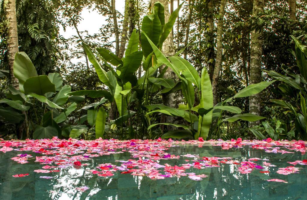 Sandat Glamping Tents Ubud  Luaran gambar